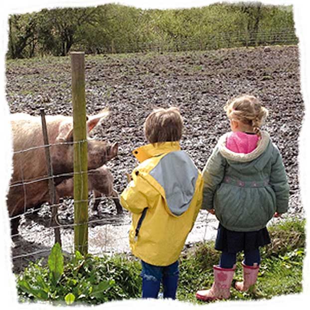 Children on the farm